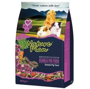NATURE PLAN GINEPIG YEMİ 800GR