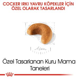 Royal Canin Cocker Puppy 3kg