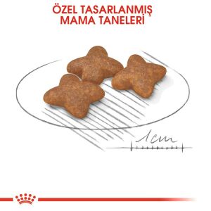 Royal Canin Mini Küçük Irk Yetişkin Köpek Maması 8kg