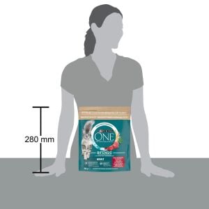 Purina One Sığır Etli Yetişkin Kedi Maması 800gr