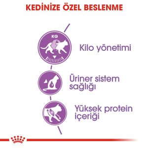 Royal Canin Sterilised37 Kısırlaştırılmış Kedi Maması 2kg