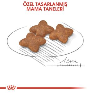 Royal Canin Mini Küçük Irk Yetişkin Köpek Mama 2kg