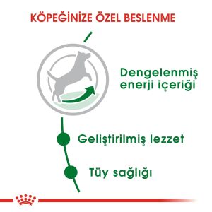 Royal Canin Mini Küçük Irk Yetişkin Köpek Mama 2kg