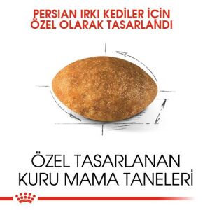 Royal Canin Persian Yetişkin İran Kedi Maması 2kg