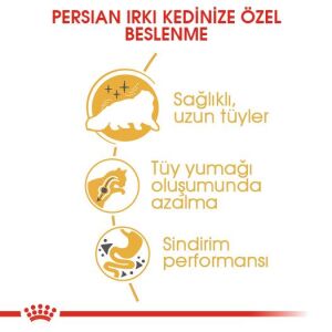 Royal Canin Persian Yetişkin İran Kedi Maması 2kg