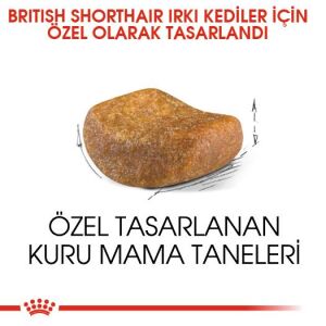 Royal Canin British Shorthair Yetişkin Kedi Maması 2kg