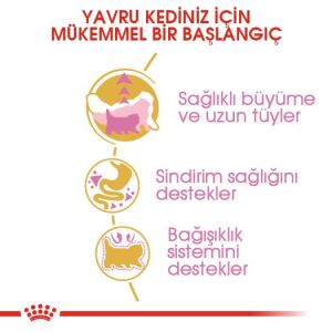 Royal Canin Persian Kitten Yavru İran Kedi Maması 2kg