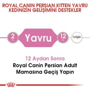 Royal Canin Persian Kitten Yavru İran Kedi Maması 2kg
