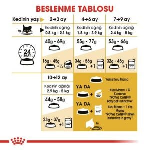 Royal Canin Persian Kitten Yavru İran Kedi Maması 2kg