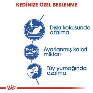 Royal Canin Indoor 27 Evden Çıkmayan Kedilere Özel Mama 2kg