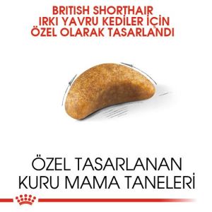 Royal Canin British Shorthair Kitten Yavru Kedi Maması 2kg