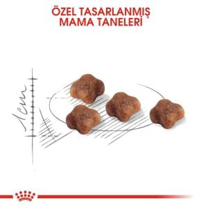 Royal Canin Mother&Babycat Yavru Kedi Maması 2kg