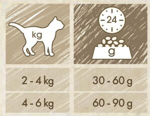 Cat Chow Somonlu Yetişkin Kedi Maması 15kg