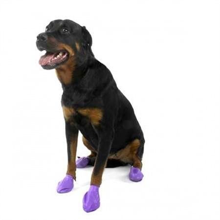 Pawz Köpek Galoşu - Mor - Large