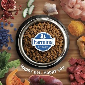 Matisse Somonlu Kısırlaştırılmış Yetişkin Kedi Maması 10kg