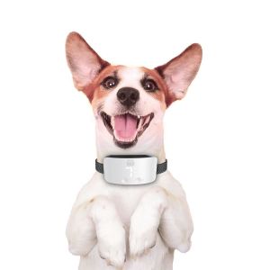 Doggie Havlama Önleyici Eğitim Tasması Beyaz