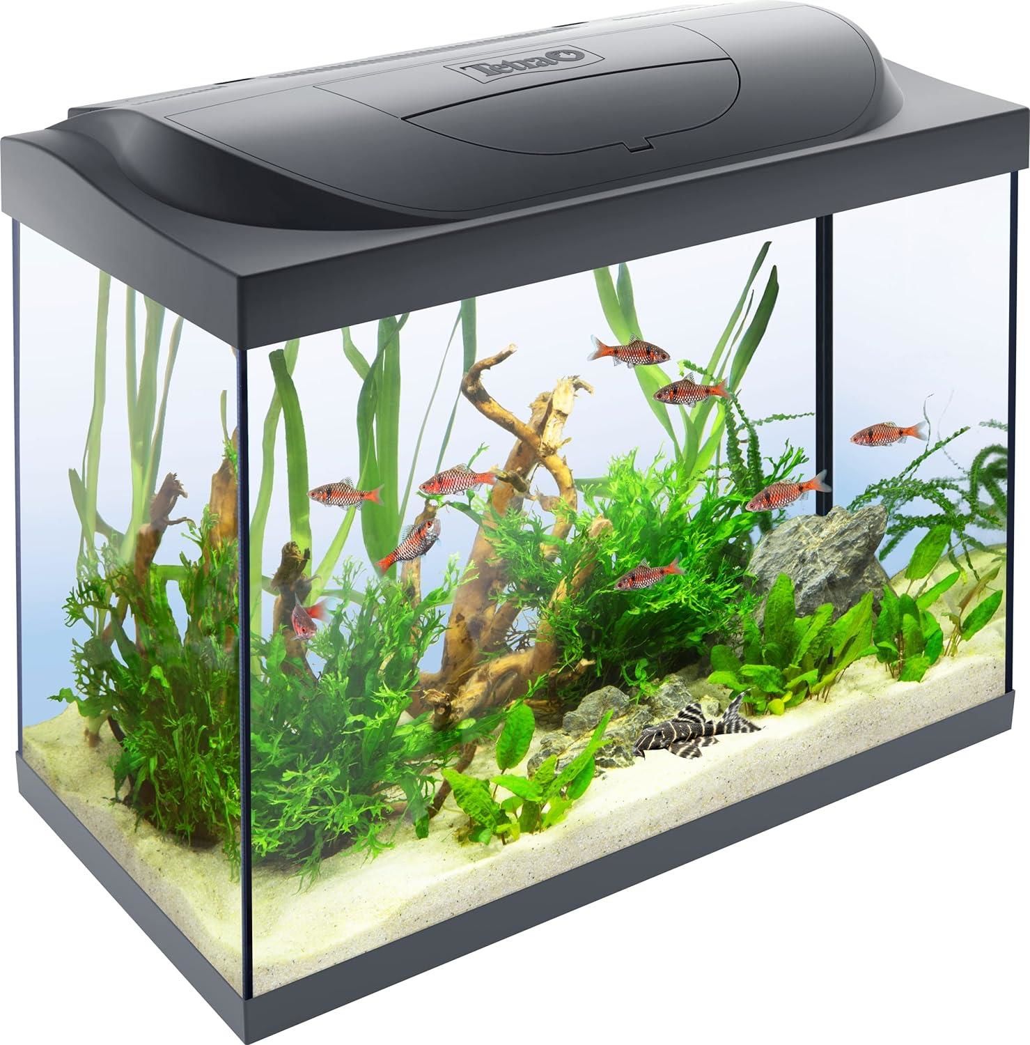 Tetra Starter Line Akvaryum Komple Set 80 litre (61x51x32cm)