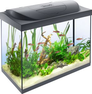 Tetra Starter Line Akvaryum Komple Set 80 litre (61x51x32cm)