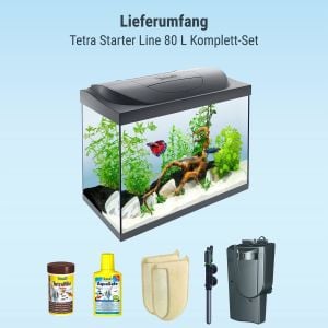 Tetra Starter Line Akvaryum Komple Set 80 litre (61x51x32cm)