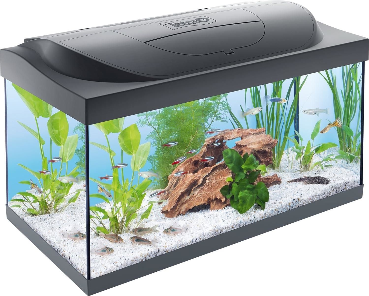 Tetra Starter Line Akvaryum Komple Set 54 litre (61x36x32cm)
