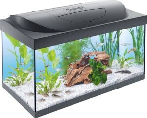 Tetra Starter Line Akvaryum Komple Set 54 litre (61x36x32cm)