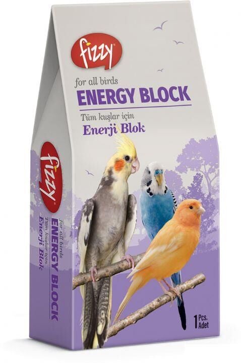 Fizzy Kanatlı Energy Blok