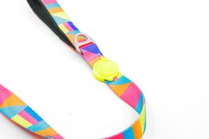 TAILPETZ SPIRIT LEASH MEDIUM