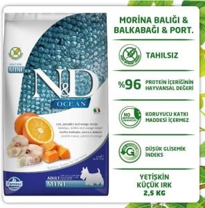 N&D OCEAN KÖPEK MORİNA BALIĞI, BALKABAĞI & PORTAKAL YETİŞKİN MINI 2.5KG