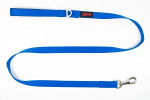 TAILPETZ SAX MATCH LEASH