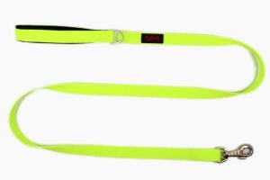 TAILPETZ NEO LIME MATCH LEASH