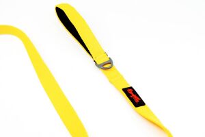 TAILPETZ YELLOW MATCH LEASH