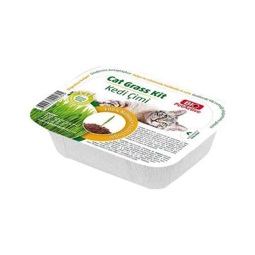Bio PetActive Cat Grass Kit Kedi Çimi