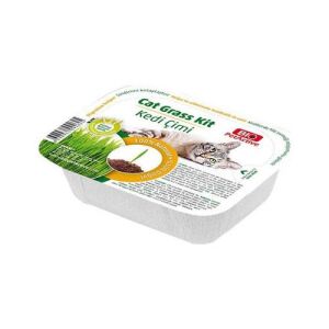 Bio PetActive Cat Grass Kit Kedi Çimi
