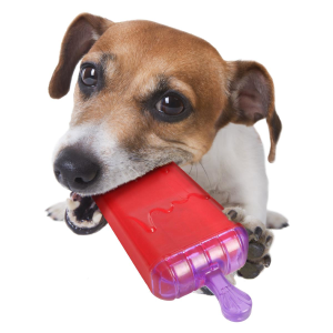 Flamingo Lolly Dondurma Kabı Köpek Oyuncağı 16cm