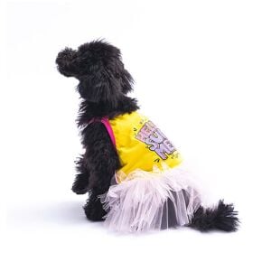 Pawstar Yellow Hello Summer Dress