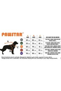 Pawstar Green Crab T-Shirt