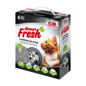 Always Fresh Aktif Karbonlu Topaklanan Bentonit Kedi Kumu 6lt
