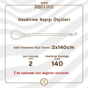 Doggie Örgülü Dokuma Gezdirme Kırmızı 2,5X120Cm