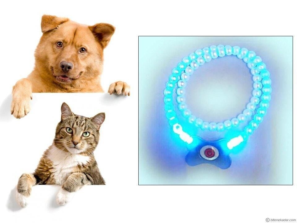Buffer Işıklı Kedi Köpek Kolyesi (18,5 cm)