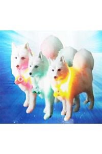 Buffer Işıklı Kedi Köpek Kolyesi (18,5 cm)