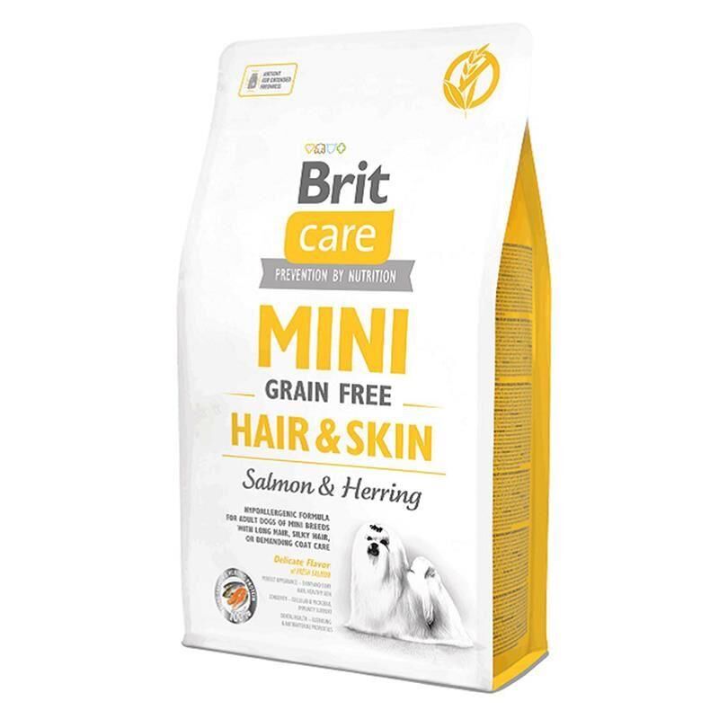 BRIT CARE MINI G-F HAIR & SKIN 2KG