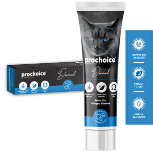 PROCHOICE DERMAL PASTE 100ML