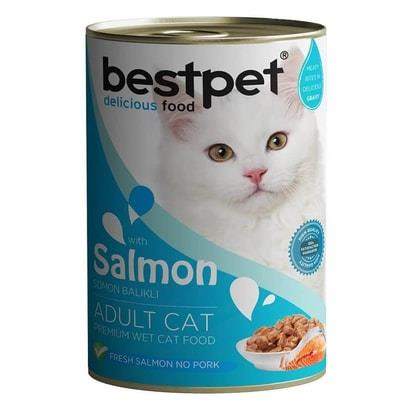 BESTPET CAT WITH SALMON GRAVY 400GR