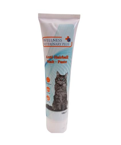 WELLNESS VETERINARY PLUS MALT PASTE 100GR