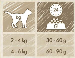 Cat Chow Somonlu Yetişkin Kedi Maması 1kg (AÇIK)