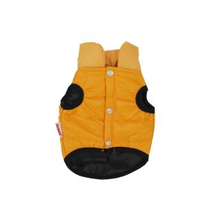 Lepus Aria Köpek Yeleği SARI - XL