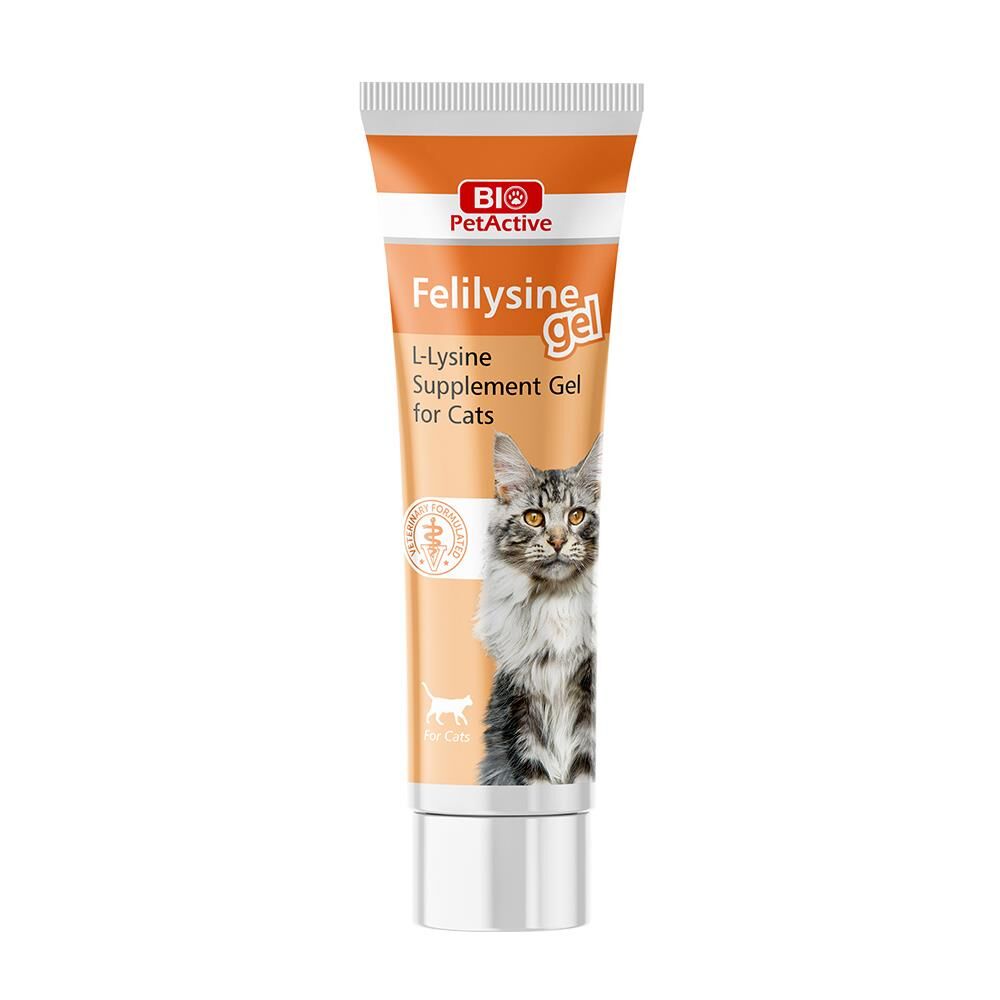 Bio PetActive Kediler İçin Felilysine Gel 100ml