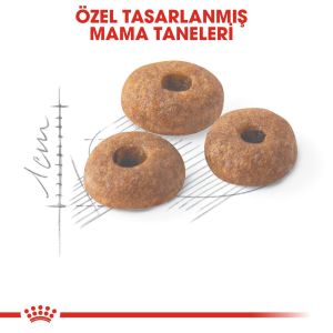Royal Canin Fit32 Yetişkin Kedi Maması 15kg