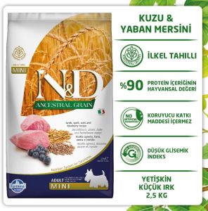 N&D ANCESTRAL GRAIN KÖPEK KUZU, KILÇIKSIZ BUĞDAY, YULAF & YABANMERSİNİ YETİŞKİN MINI 2.5KG
