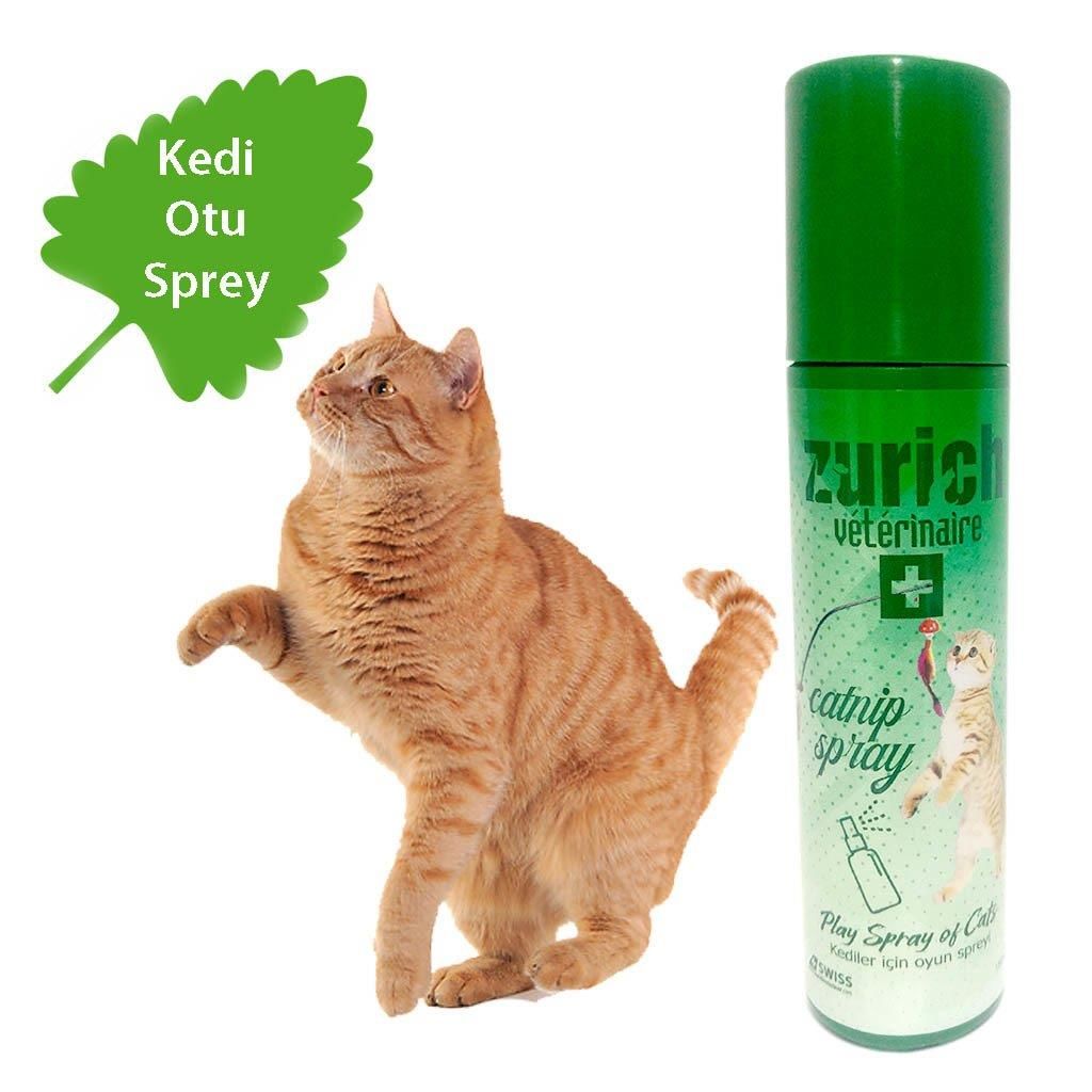 Kedi Otu Oyun Spreyi 150ml